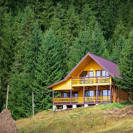 Forest House * Verkhovyna