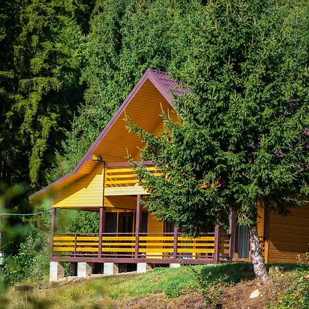 Apartment Forest House