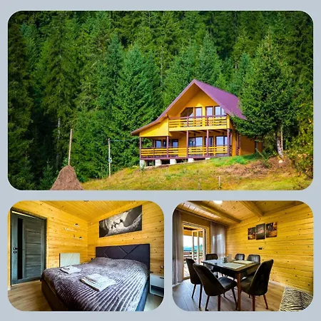 Forest House * Verkhovyna