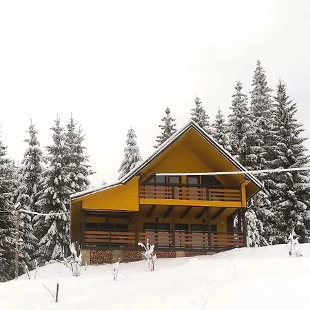 Apartment Forest House Verkhovyna