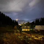 Forest House Verhovina
