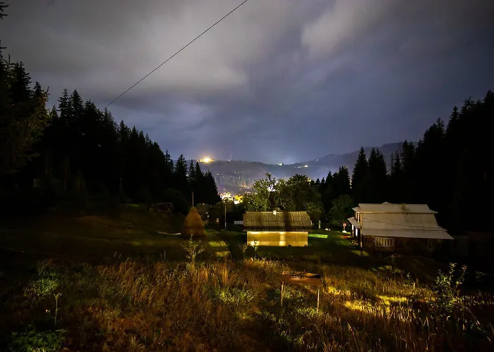 Forest House 韦尔霍维纳